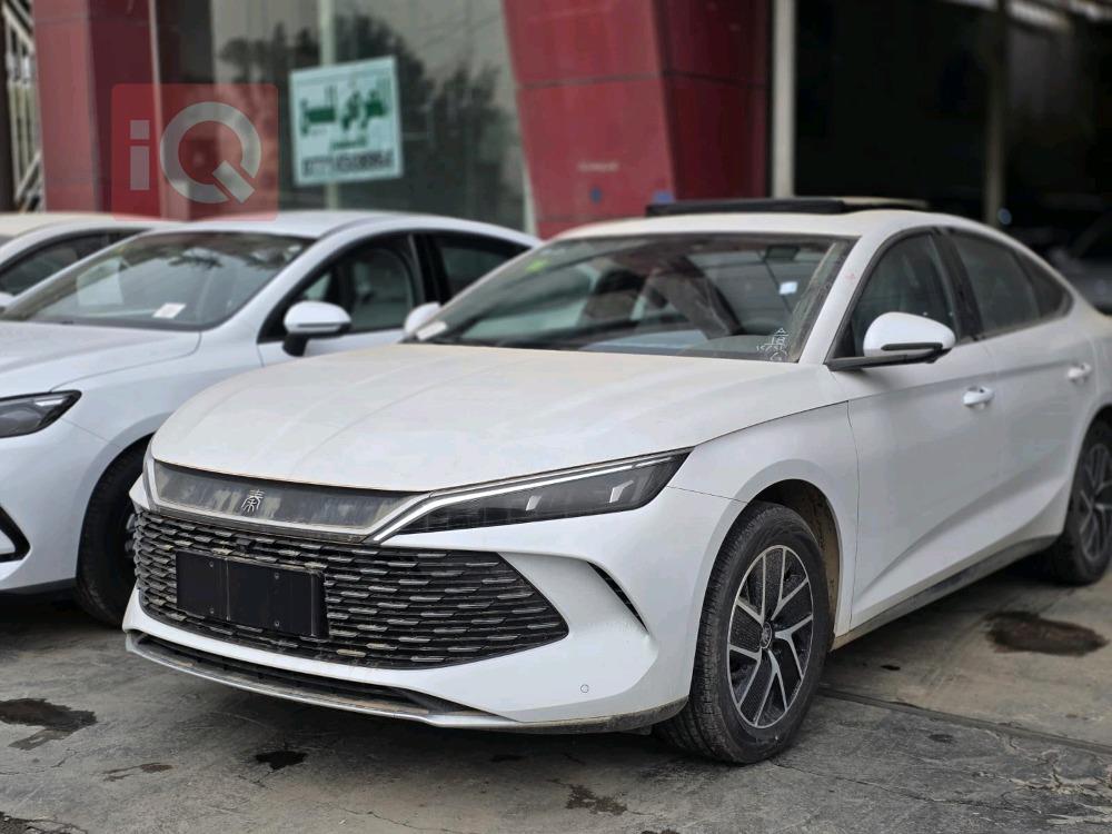 بي واي دي كوين L DM-i